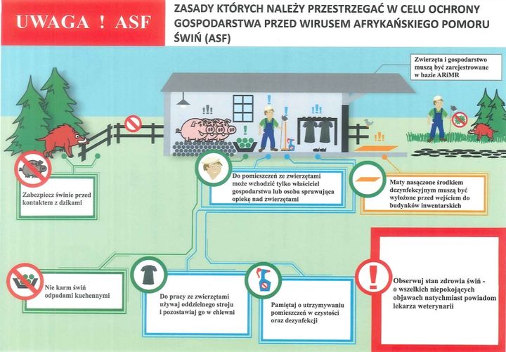Afrykański Pomór Świń na terenie województwa mazowieckiego