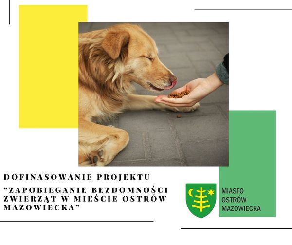 DOFINASOWANIE PROJEKTU "ZAPOBIEGANIE BEZDOMNOŚCI ZWIERZĄT W MIEŚCIE OSTRÓW MAZOWIECKA" MIASTO OSTRÓW MAZOWIECKA