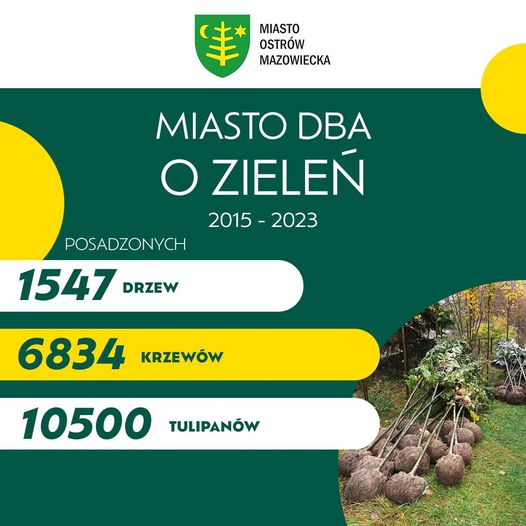 MIASTO OSTRÓW MAZOWIECKA DBA O ZIELEŃ 2015 - 2023 POSADZONYCH 1547 DRZEW 6834 KRZEWÓw 10500 TULIPANÓW