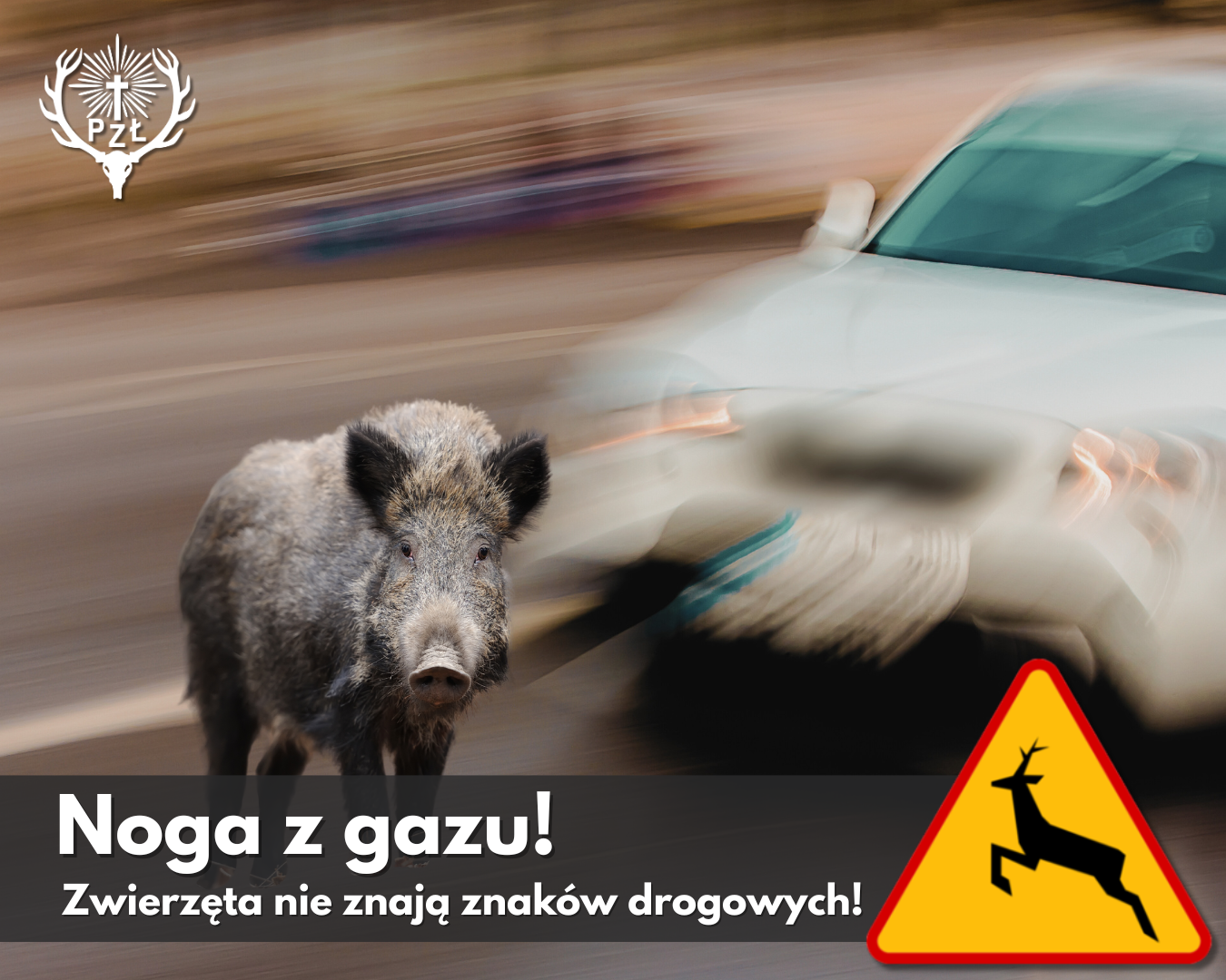 INFORMACJA NOGA Z GAZU ZWIERZĘTA NIE ZNAJĄ SIĘ NA ZNAKACH