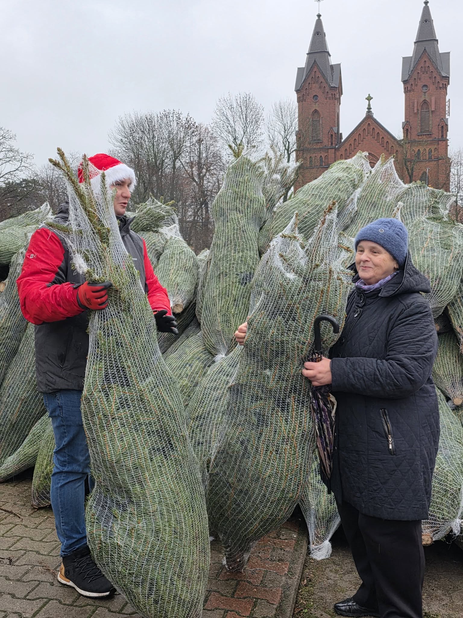 Ekologiczne choinki dla mieszkańców
