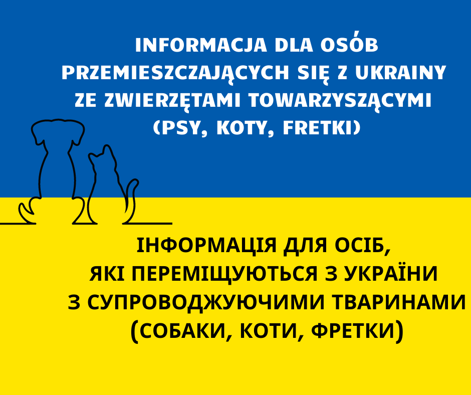 Plakat informacyjny dotyczący Informacji dla osób przemieszczających się z Ukrainy ze zwierzętami towarzyszącymi psy, koty, fretki