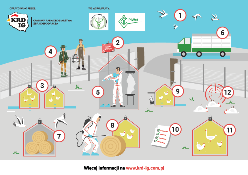 OPRACOWANO PRZEZ WE WSPÓŁPRACY 1 KRD IG KRAJOWA RADA DROBIARSTWA IZBA GOSPODARCZA PIWet 6 2 ZAKAZ 4 3 6 5 12 8 10 11 7 M Więcej informacji na www.krd-ig.com.pAPEL DO HODOWCÓW DROBIU W SPRAWIE WYSOCE ZJADLIWEJ GRYPY PTAKÓWl