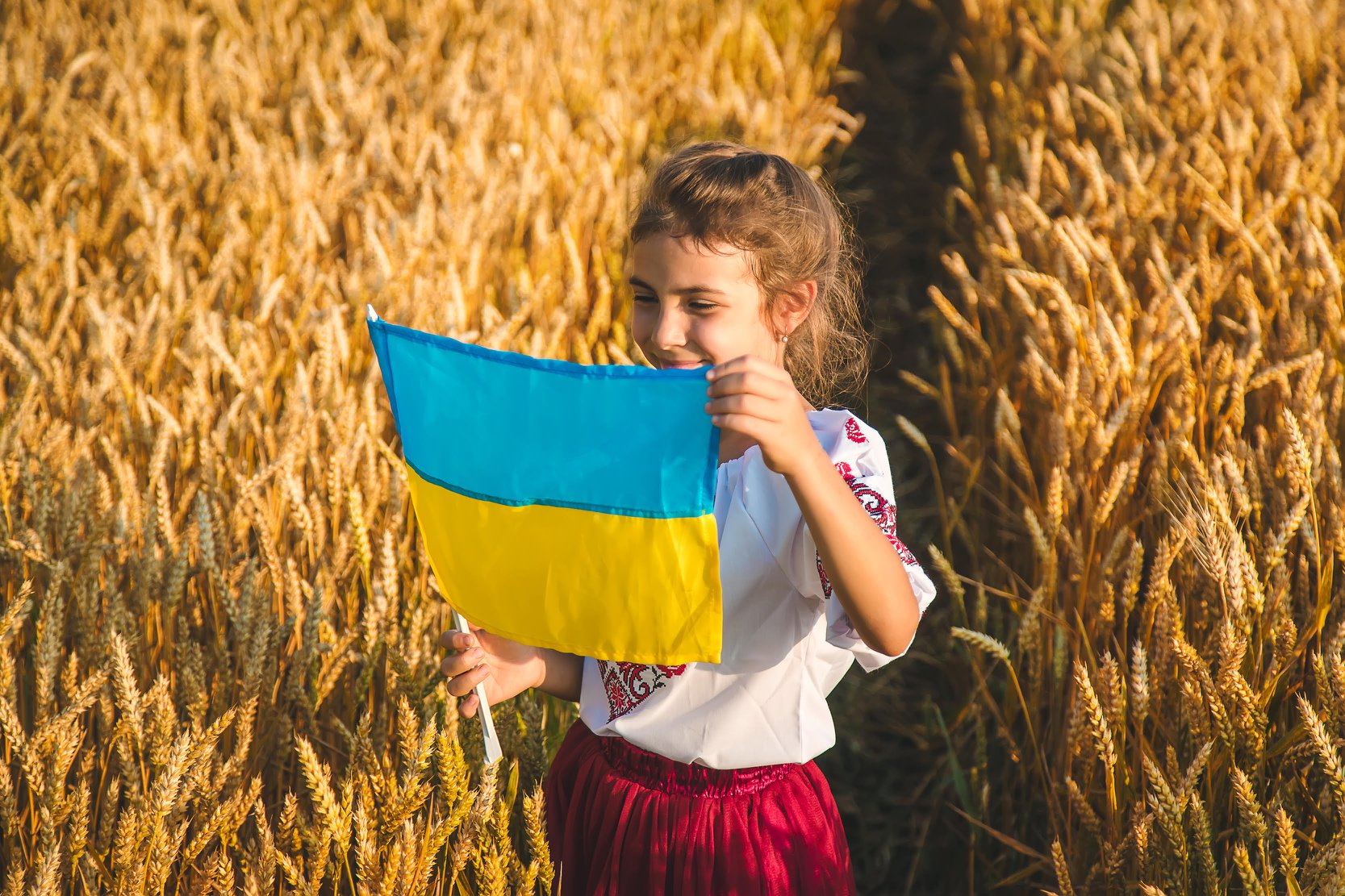 Dziewczynka trzymająca flagę ukrainy pośród łanów zbóż 
