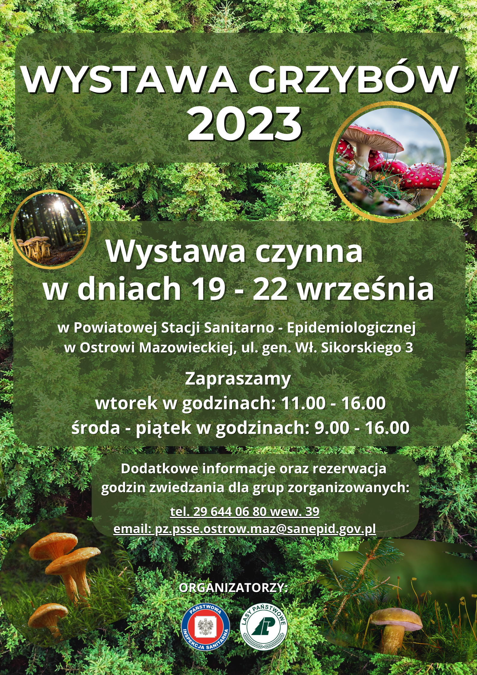 Wystawa Grzybów 2023 Wystawa czynna w dniach 19-22 września w Powiatowej Stacji Sanitarno - Epidemiologicznej w Ostrowi Mazowieckiej, ulica generała Władysława Sikorskiego 3 Zapraszamy wtorek w godzinach: 11.00 - 16.00 środa - piątek w godzinach: 9.00 - 16.00 Dodatkowe informacje oraz rezerwacja godzin zwiedzania dla grup zorganizowanych: telefon 29 644 06 80 wewnętrzny 39 email: pz.psse.ostrow.maz@sanepid.gov.pl Organizatorzy: Państwowa Inspekcja Sanitarna i Lasy Państwowe