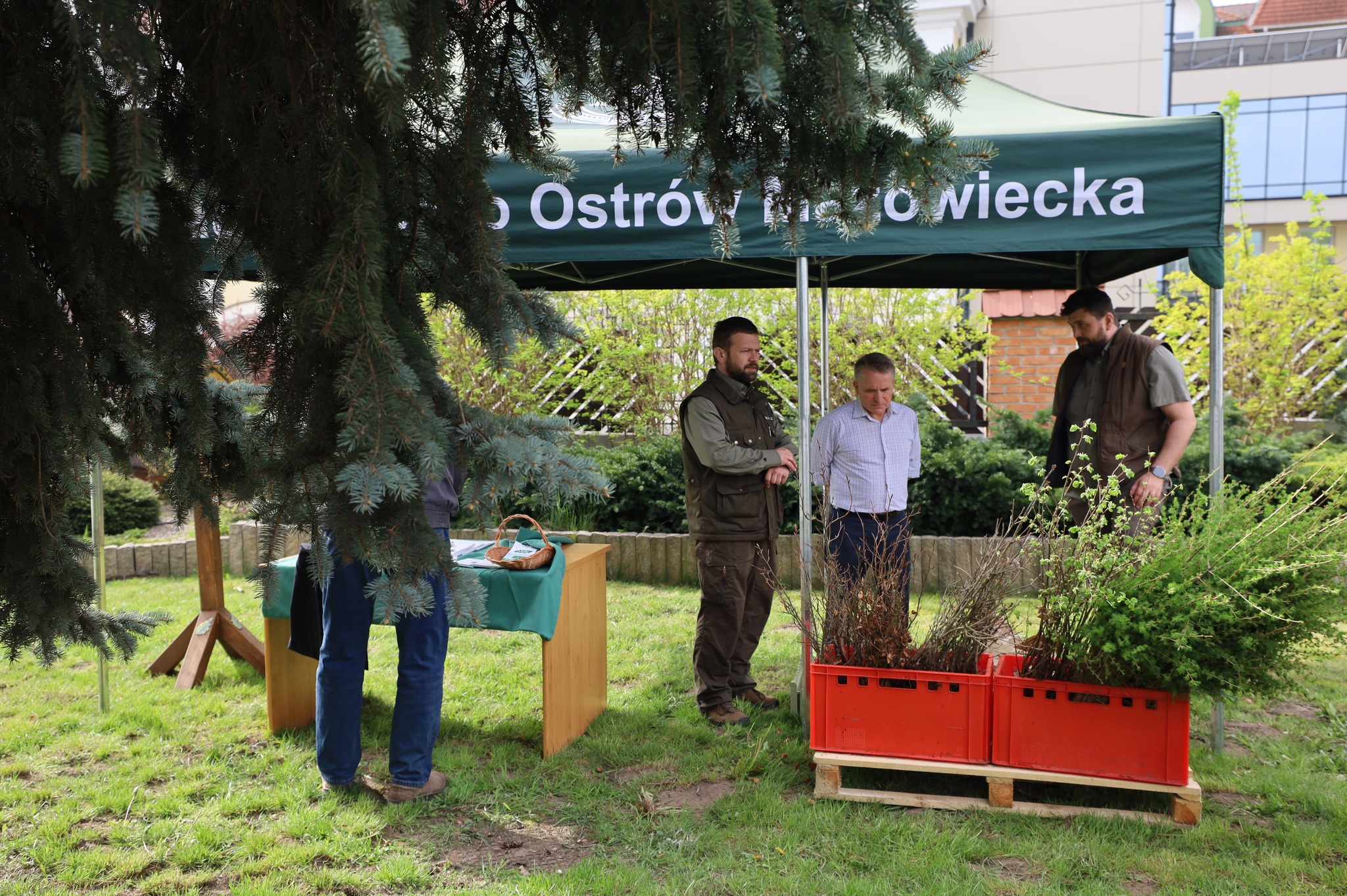 Akcja „Drzewko za surowce wtórne” przeprowadzonej na terenie Nadleśnictwa Ostrów Mazowiecka.