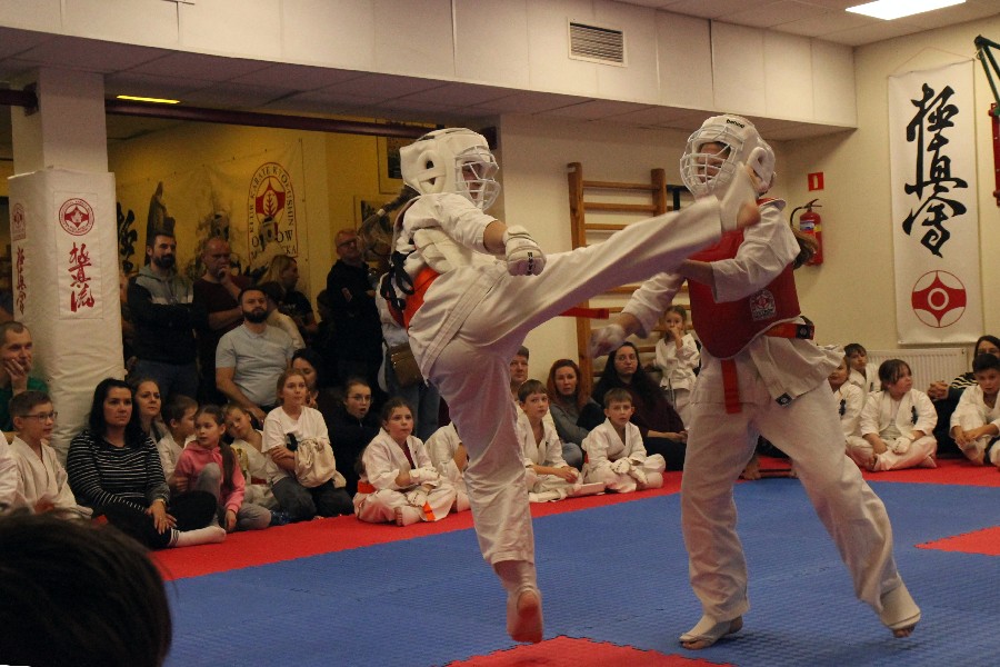 dwie osoby walczące ze sobą