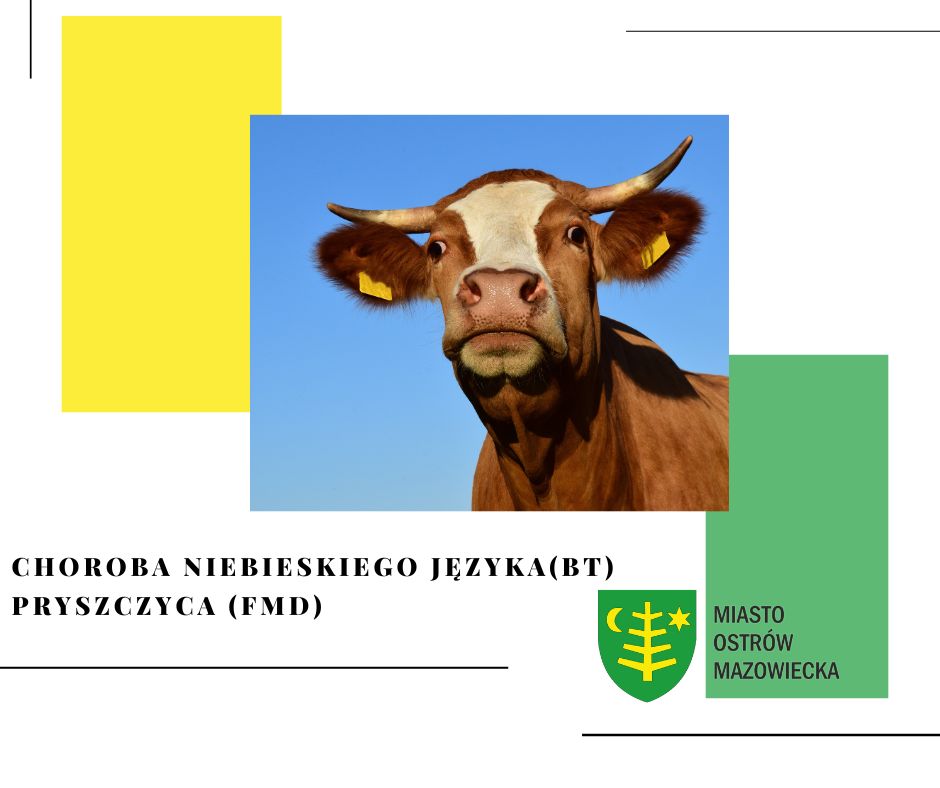 Informacja dla Rolników ws. spotkania z Powiatowym Lekarzem Weterynarii