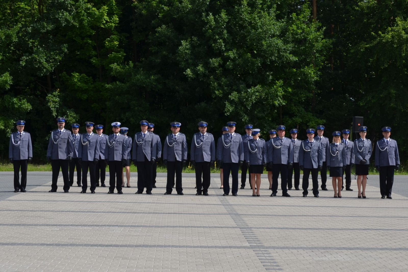 policjanci w dwuszeregu