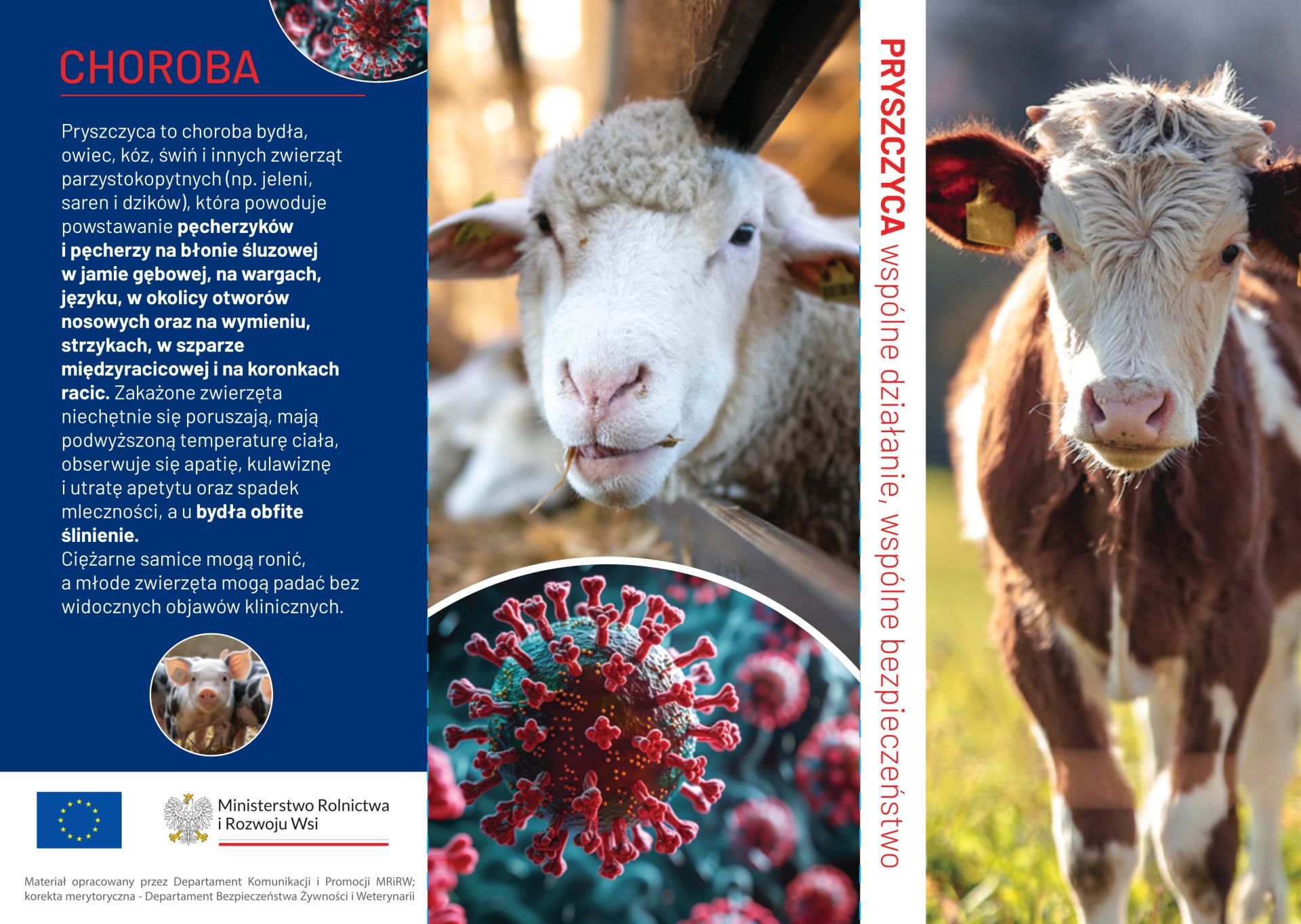 zwierzęta na obrazku i opis