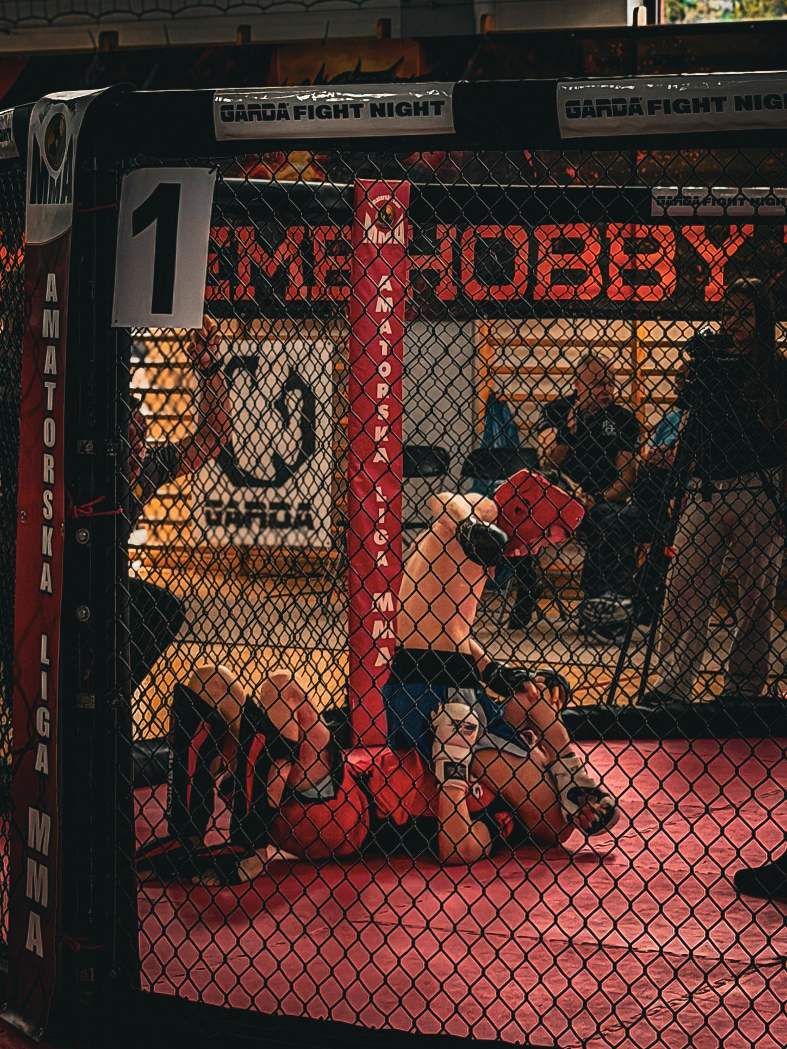 Podsumowanie startu na Pucharze Polski MMA w Sochaczewie (ALMMA)