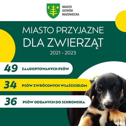 MIASTO OSTRÓW MAZOWIECKA MIASTO PRZYJAZNE DLA ZWIERZĄT 2021-2023 49 ZAADOPTOWANYCH PSÓW 34 PSÓW ZWRÓCONYCH WŁAŚCICIELOM 36 PSÓW ODDANYCH DO SCHRONISKA