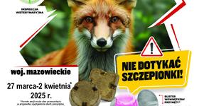 Wiosenna akcja szczepienia lisów