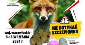 Akcja szczepienia lisów
