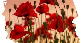 XIX Powiatowy Konkurs Plastyczny Krajobraz Polski 2025 Wernisaż