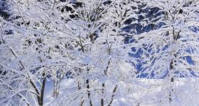 APEL DO MIESZKAŃCÓW w związku z nadchodzącą falą mrozów