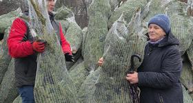 Ekologiczne choinki dla mieszkańców!