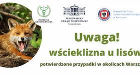 Uwaga! Wścieklizna u lisów!