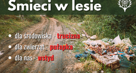 DLACZEGO ŚMIECI W LESIE TO NIE TYLKO BRZYDKI WIDOK?