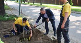 Święto Dzień Matki w Ostrowi Mazowieckiej