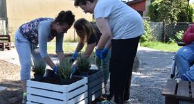 Trwają prace przy projektowaniu „Ogrodowej Przystani”