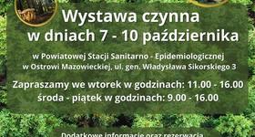 Wystawy Grzybów 2025 w PSSE Ostrów Mazowiecka