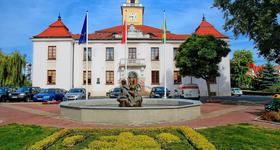 Zaproszenie przedstawicieli organizacji pozarządowych do udziału w pracach komisji konkursowej ds. opiniowania ofert, złożonych w ramach otwartego konkursu ofert na realizację 2026 roku zadań publicznych przez organizacje pozarządowe