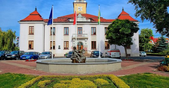 Zaproszenie przedstawicieli organizacji pozarządowych do udziału w pracach komisji konkursowej ds. opiniowania ofert, złożonych w ramach otwartego konkursu ofert na realizację 2026 roku zadań publicznych przez organizacje pozarządowe